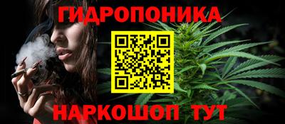 тгк Сланцы