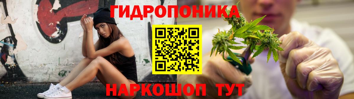 Галлюциногенные грибы Ачинск